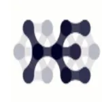 Holoeyes logo