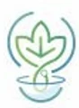 Homoeopathy Store