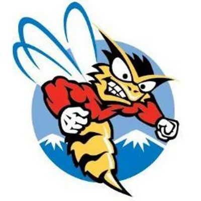 Honey Stinger logo