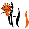 Hoopoe Infoedge