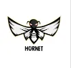 Hornet Technology