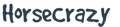 Horsecrazy logo
