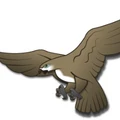Hostel Hawk logo