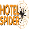 Hotel Spider