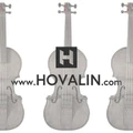Hovalin logo