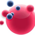 HR Nucleus