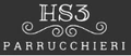 HS3 PARRUCCHIERI logo