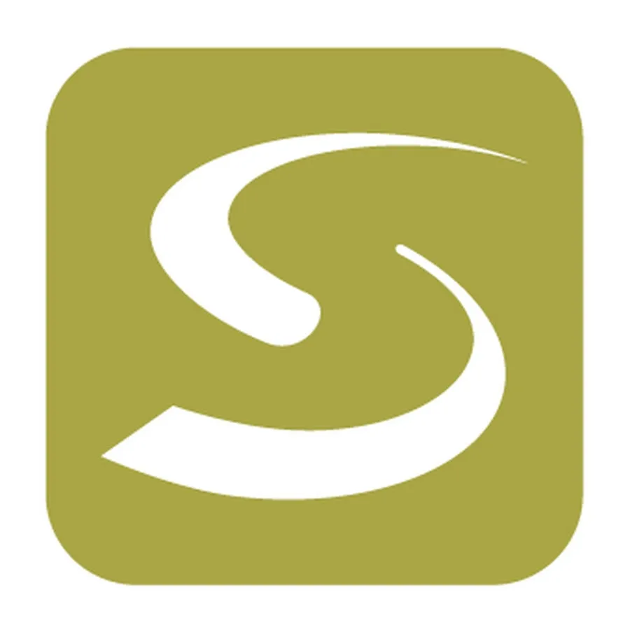 Human Solutions logo