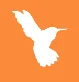 Hummingbird TTS logo