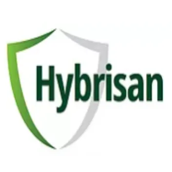 Hybrisan logo