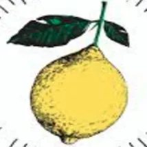 Flower Child logo