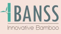 IBANSS