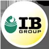 IB Group