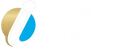 IBrid Insights