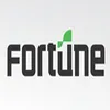Fortune Semiconductor logo