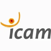 Icam logo