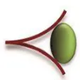 ICARES Medicus
