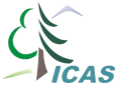 Icas logo