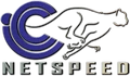IccNetSpeed