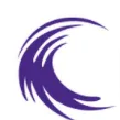 Insurance and Capital Management logo