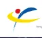 IDAJ logo