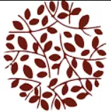 IDAM Natural Wellness logo