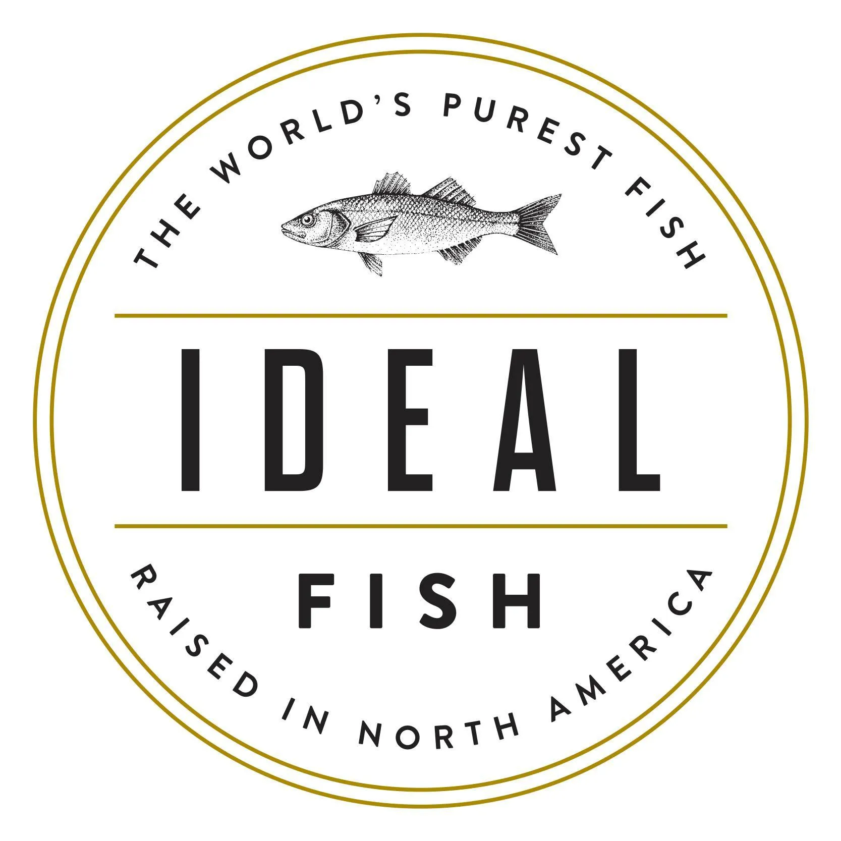 Ideal Fish logo