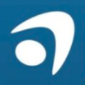 IdSurvey logo