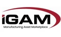 iGAM logo