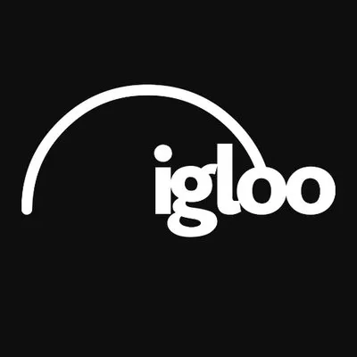 Igloo Vision logo
