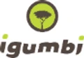 igumbi logo