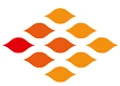 IIMV