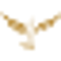 Ijetzz