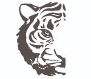 Imagine Reporting logo