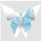 IMagosoft logo