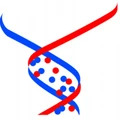 Imgenex logo