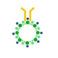 ImmunoACT logo