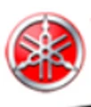 India Yamaha Motor