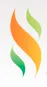 Indian Franchise Association
