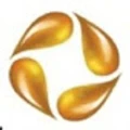 Indian Petrochem logo