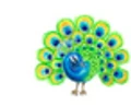 IndianSupermarkt logo