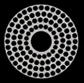 Indigo Tribe logo