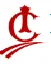 Indo-City Infotech