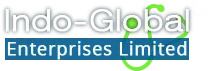 Indo-Global Enterprises