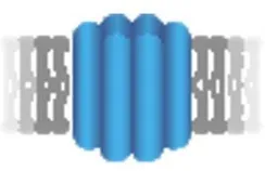 InflammX Therapeutics logo