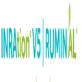 Inration Ruminal logo
