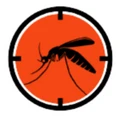 Insectos