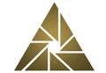 Insight Survey logo