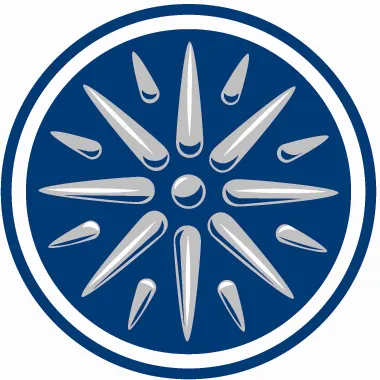 Insight Sourcing Group logo