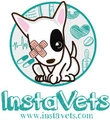 InstaVets logo